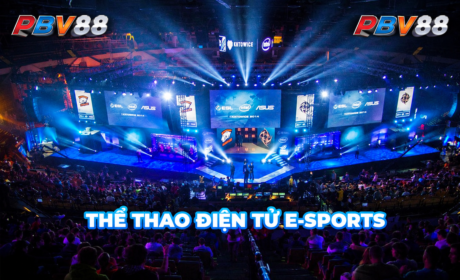 Khu vực danh mục trò chơi casino và giải trí