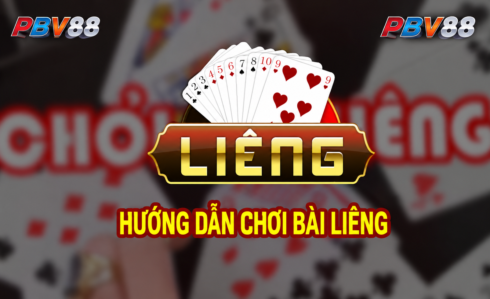 Khu vực nội dung dành cho người mới tham khảo