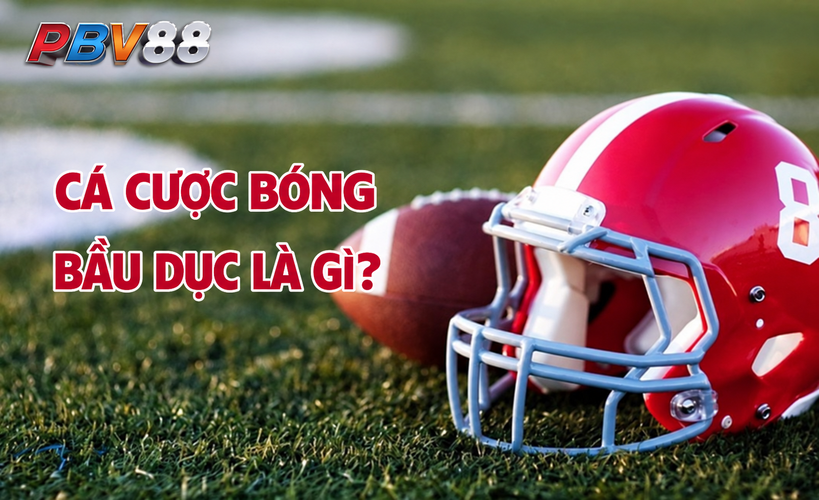 Khu vực điều hướng PBV88 trước khi xem nội dung thể thao