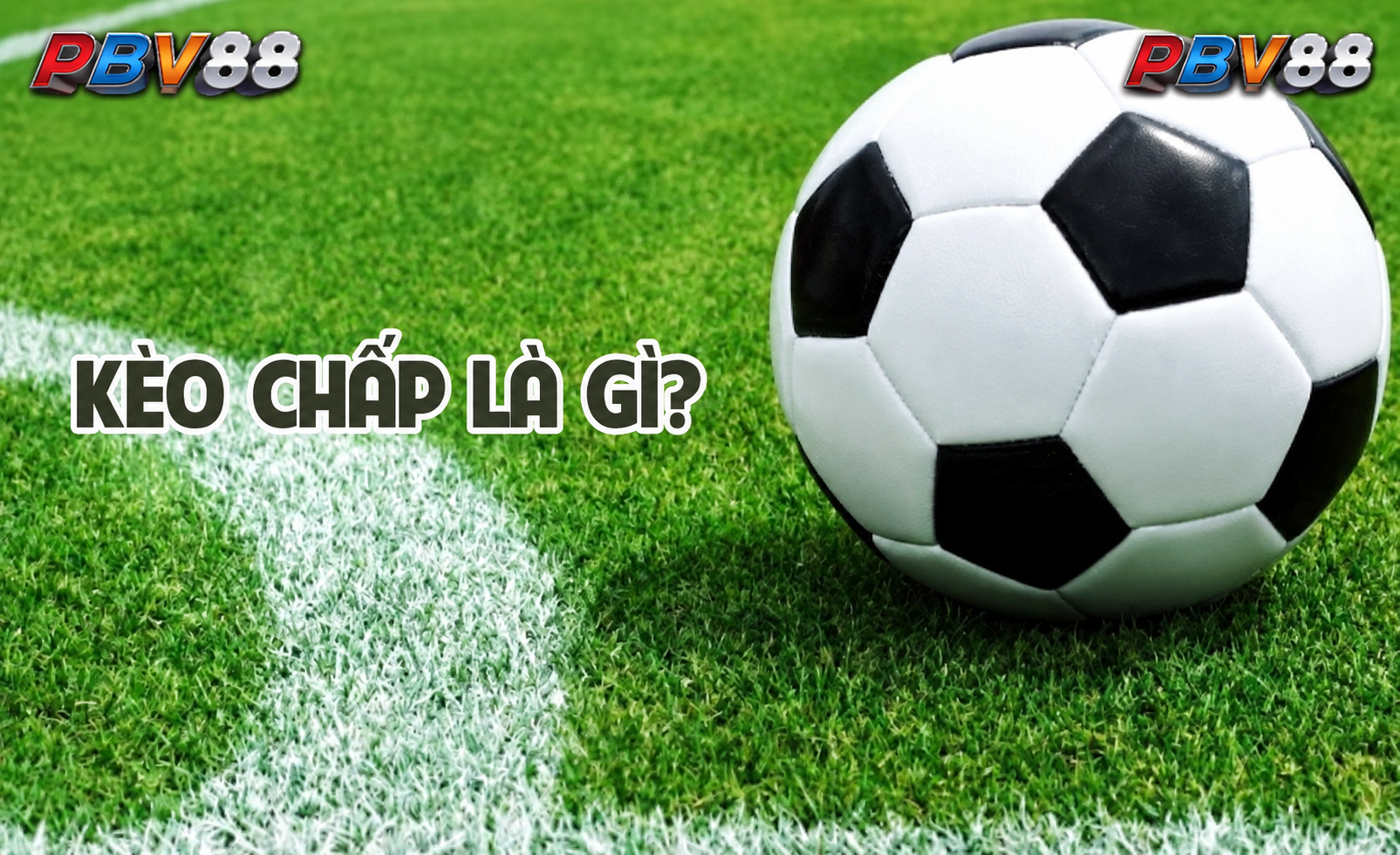 Màn hình PBV88 hiển thị nhóm môn thể thao và nhà cung cấp