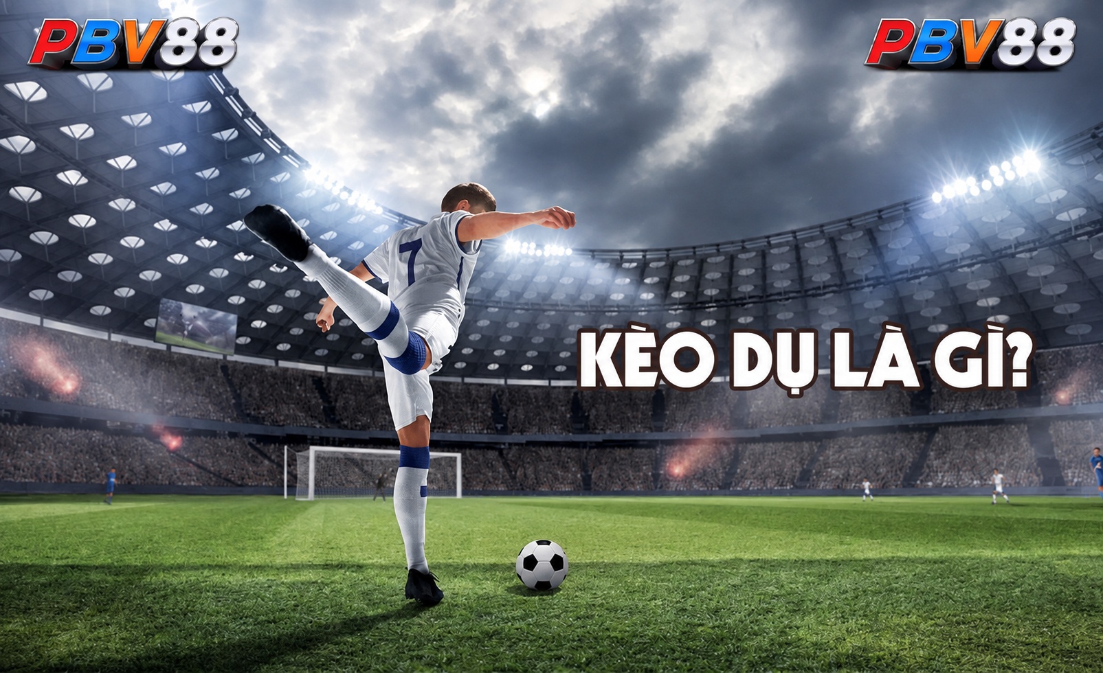 Khung nội dung PBV88 dành cho người mới xem thể thao